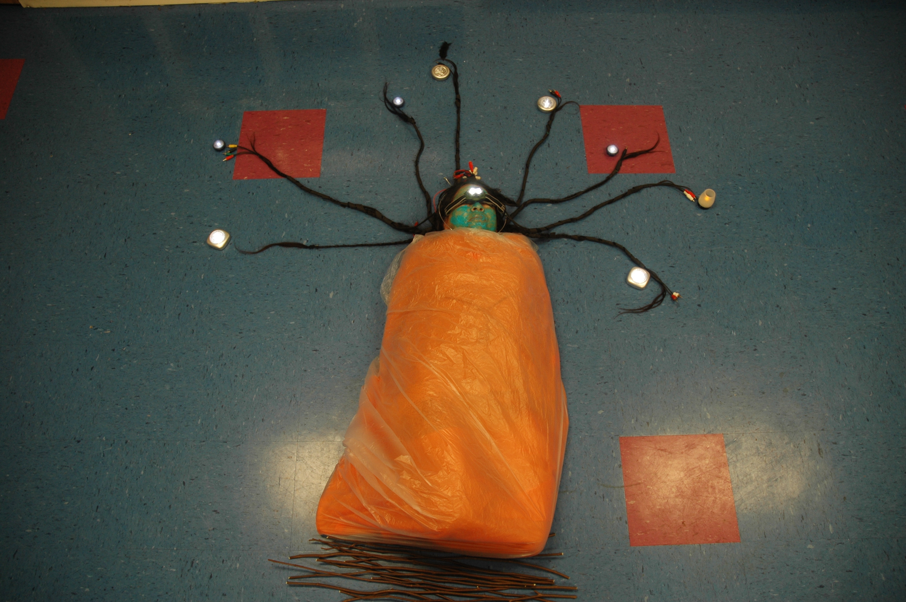 Transforming Specimen = Nest of Energy, 2012 by Tammy Melody Gomez