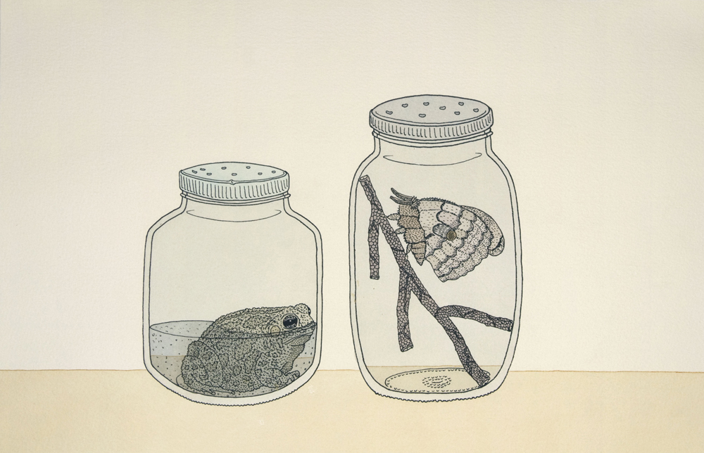 "Toad and Moth" by Patrick Smyczek. Screen print and watercolor, 17" x 11" (2012).