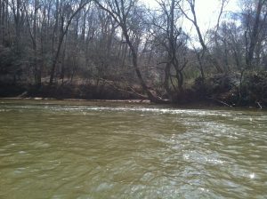 Confluence with the Lawsons Fork, Pacolet River