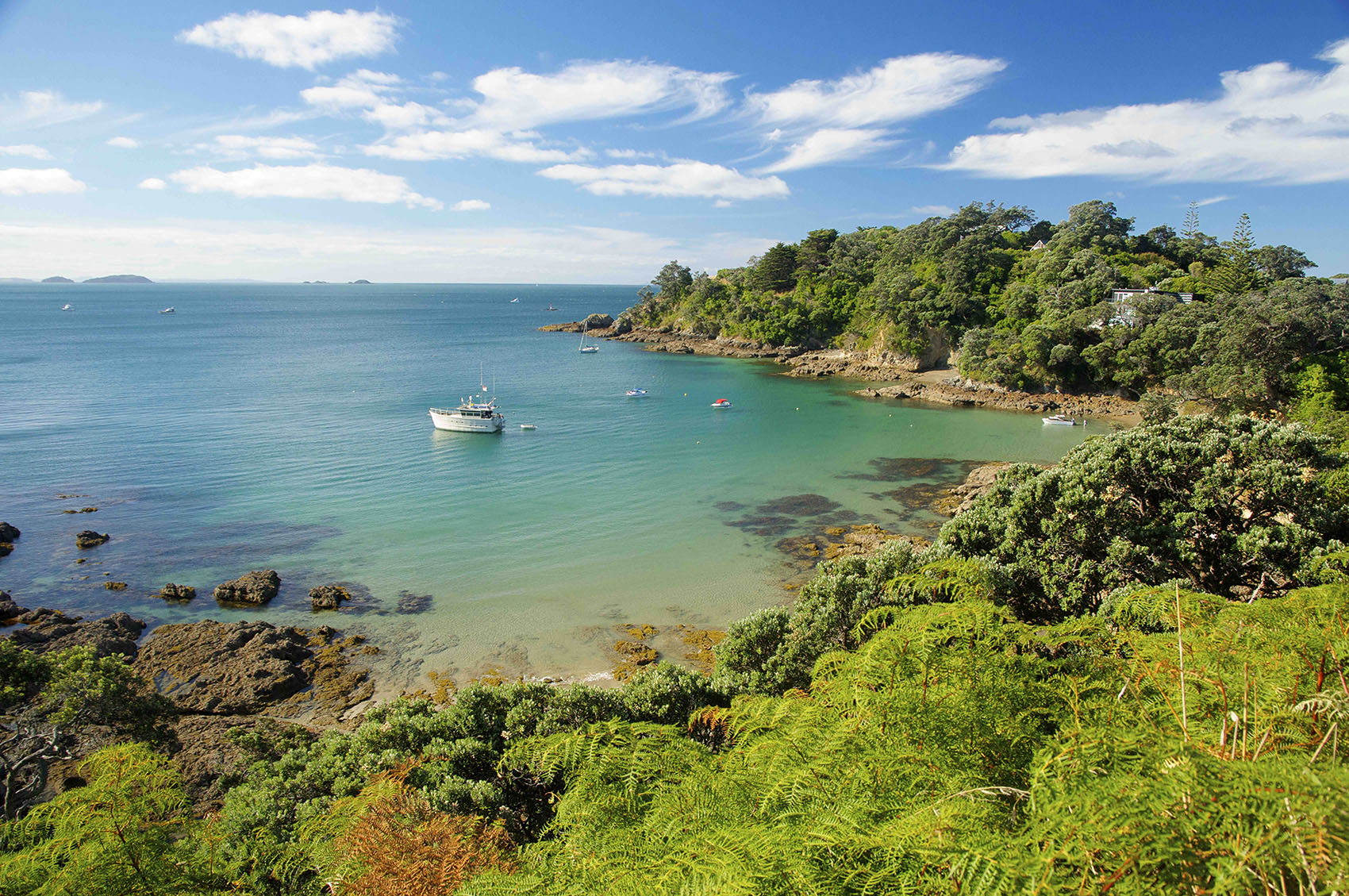 Waiheke Bay, New Zealand photo