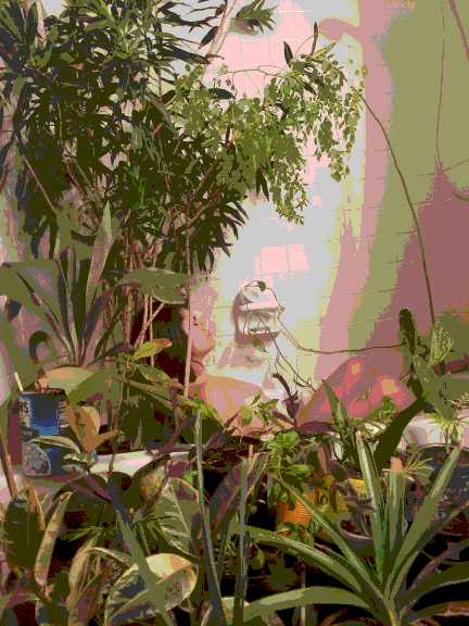 animated gif of nude woman in bathtub surrounded by plants