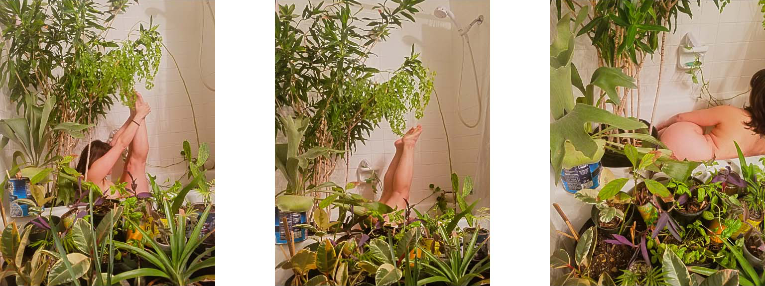 photographs of nude woman in bath surrounded by plants