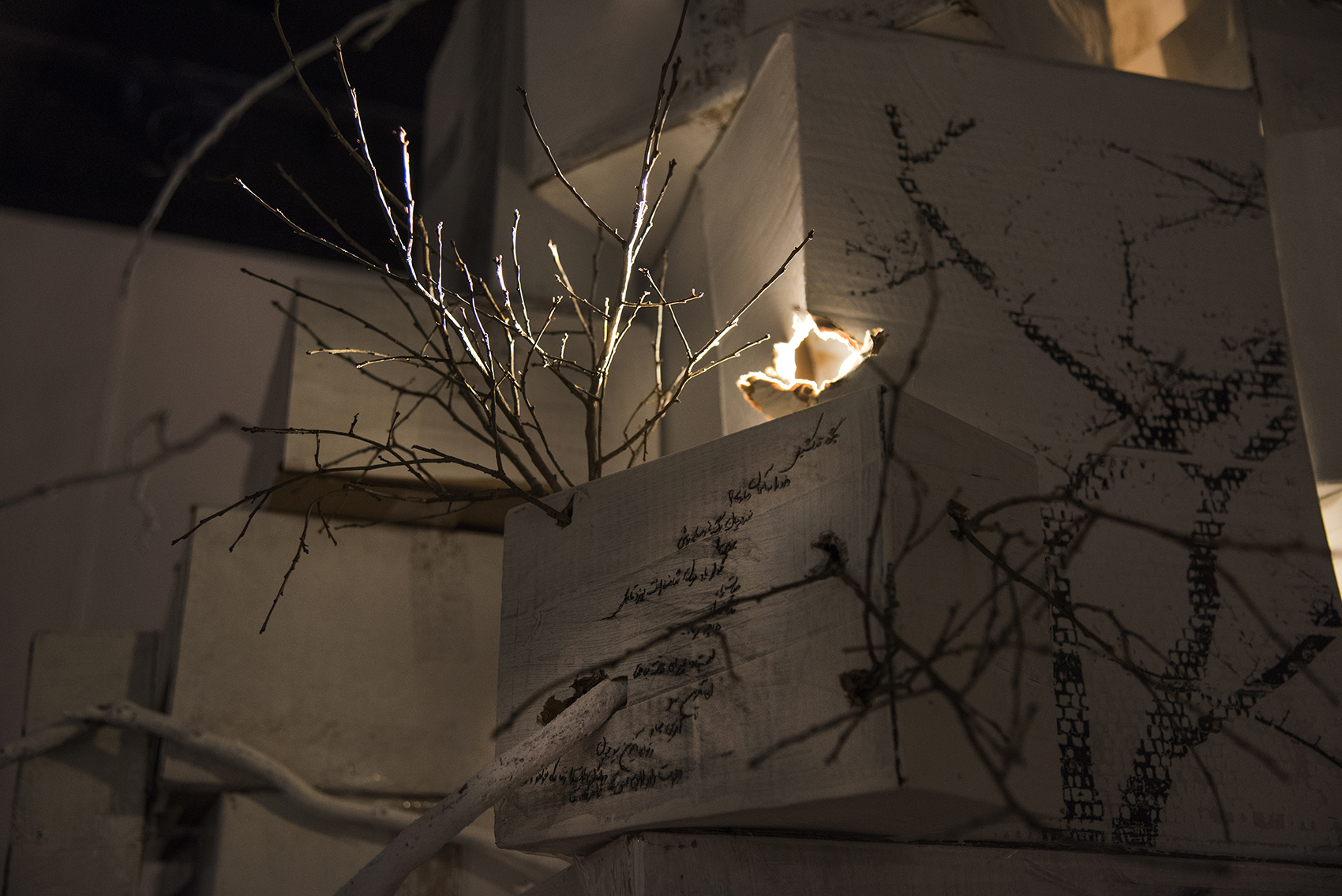 photo of Wispobish art installation featuring tree branches and white-washed cardboard boxes