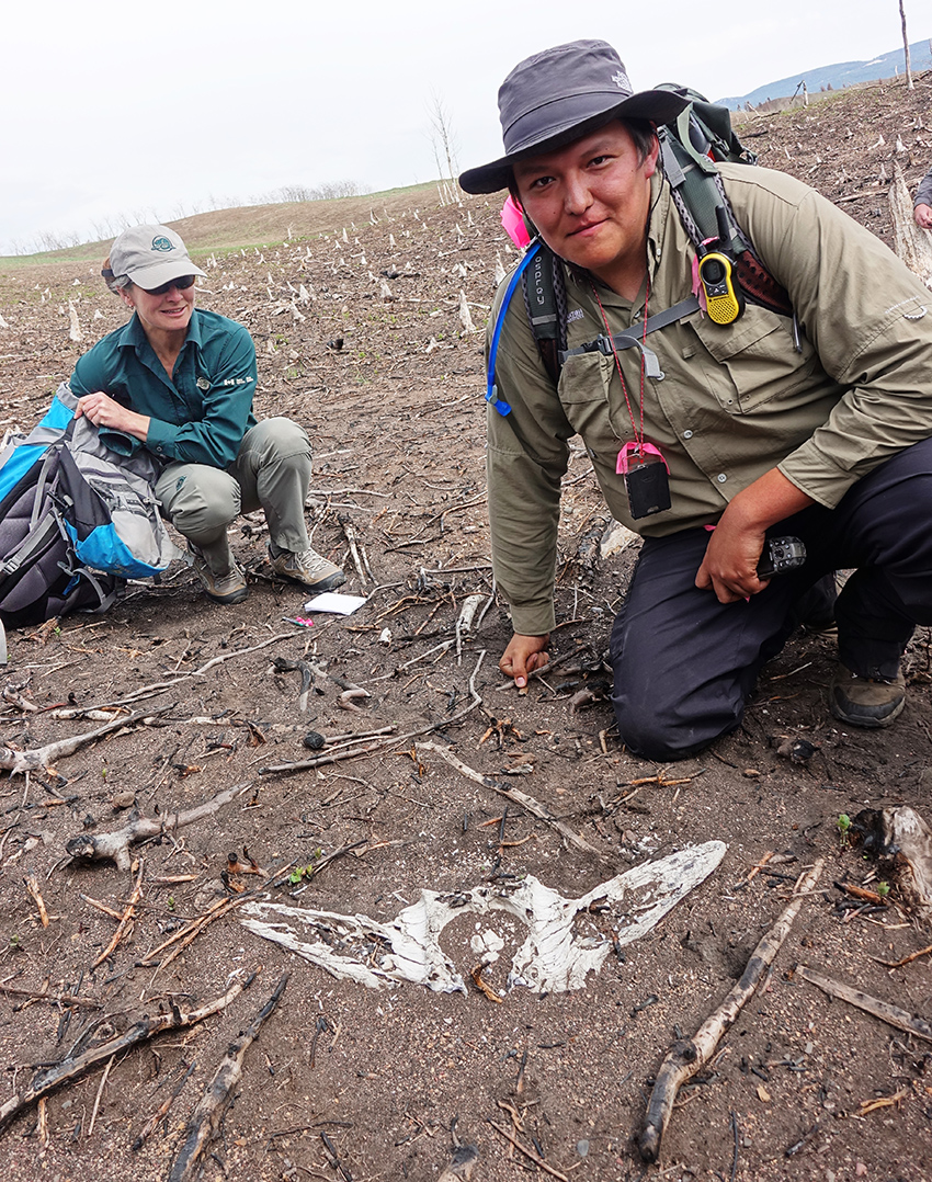 photo of two researchers and an ancient buffalo skull on the Waterton Prairie