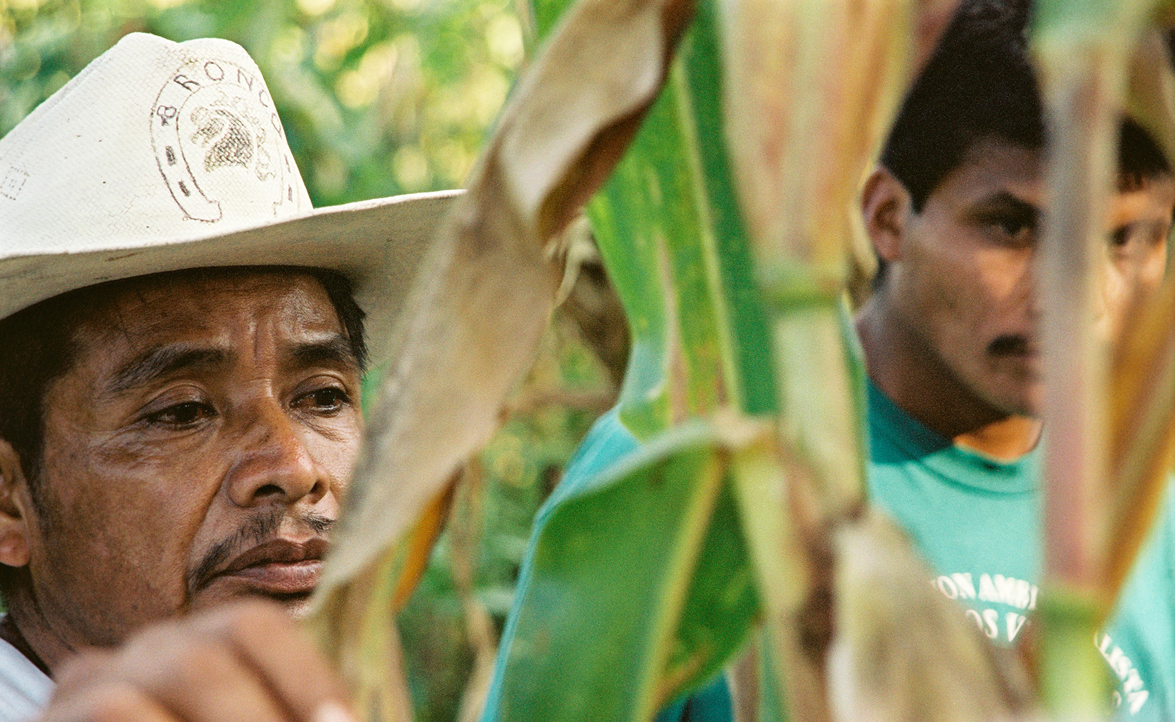 photo of two Campesinos (farmers) working in a Milpa (maize or corn field)