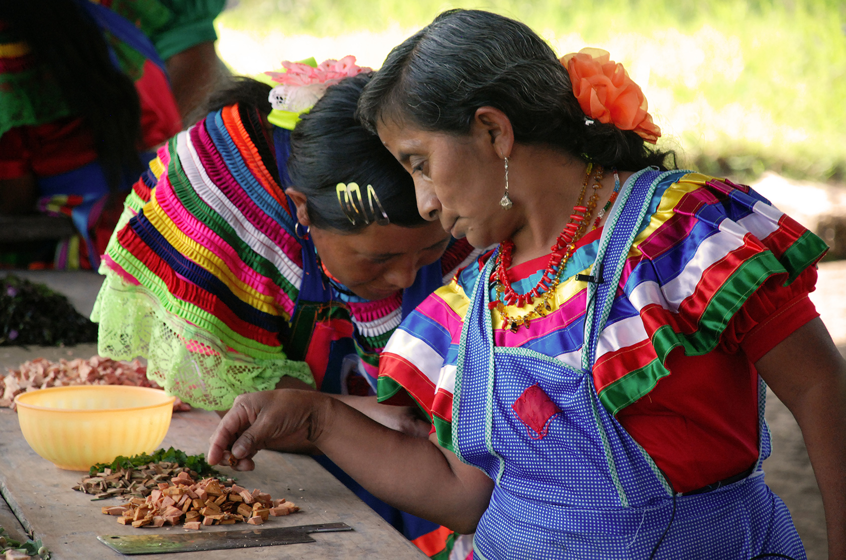 colorful photo of two women traditional healers in Chiapas Mexico