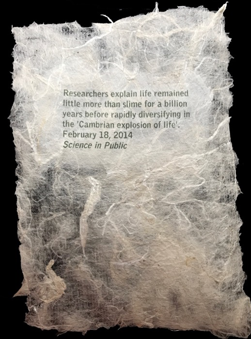 handmade paper with text "Researchers explain life remained little more than slime for a billion years before rapidly diversifying in the 'Cambrian explosion of life'. February 18, 2014 Science in Public"