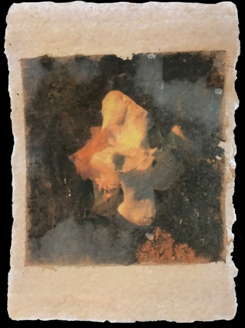 handmade paper with a photo of bones