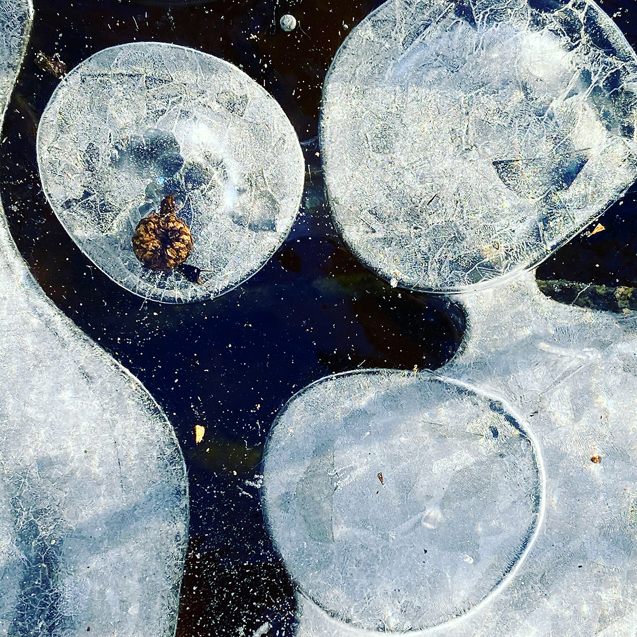 Woman Who Wears Her Heart Moon Full by Kelly DuMar: close-up photo of bubbles in ice that resemble human or alien figures