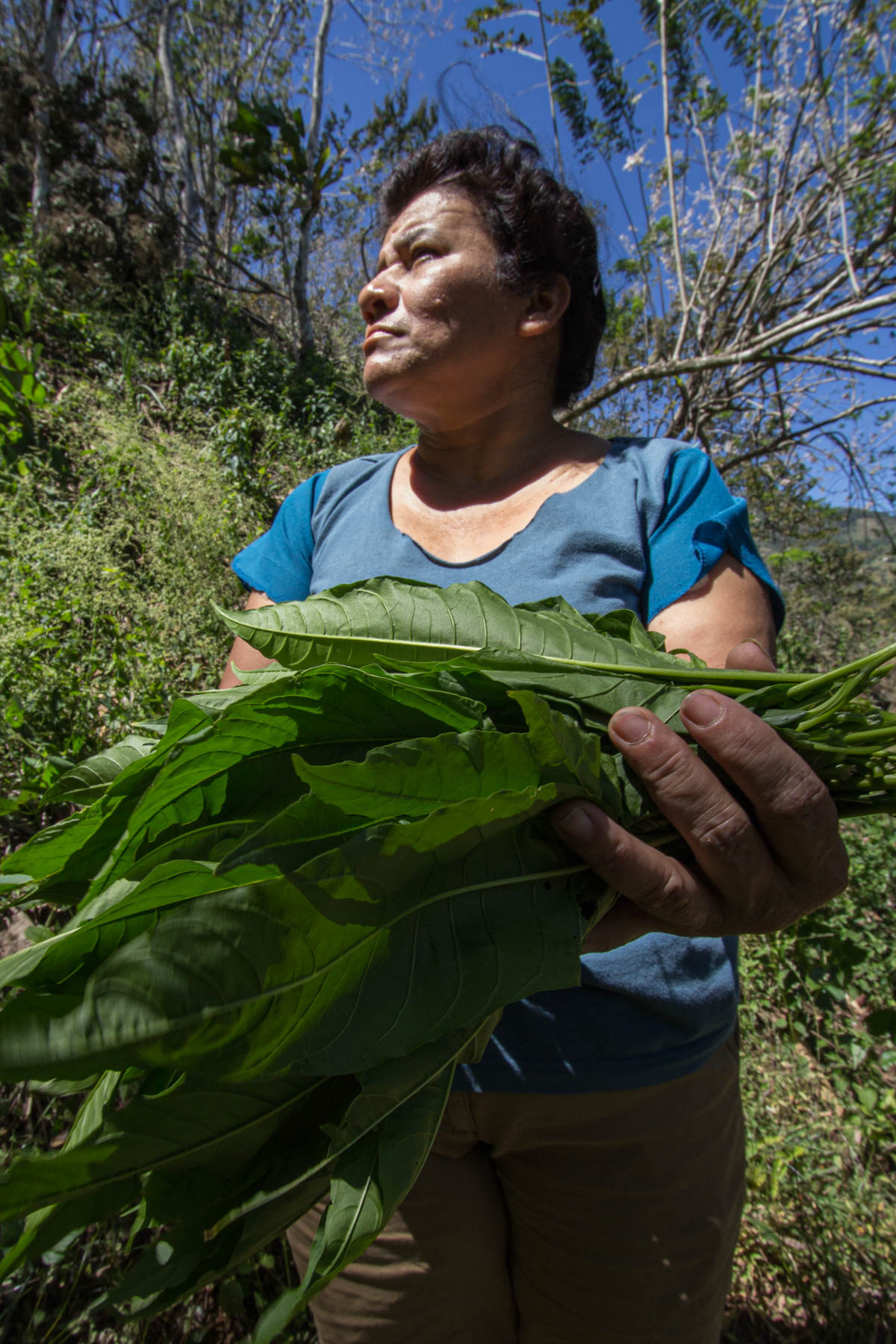 A Costa Rican woman holds wild kioro leaves for dinner