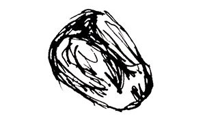 small black and white sketch of a seed