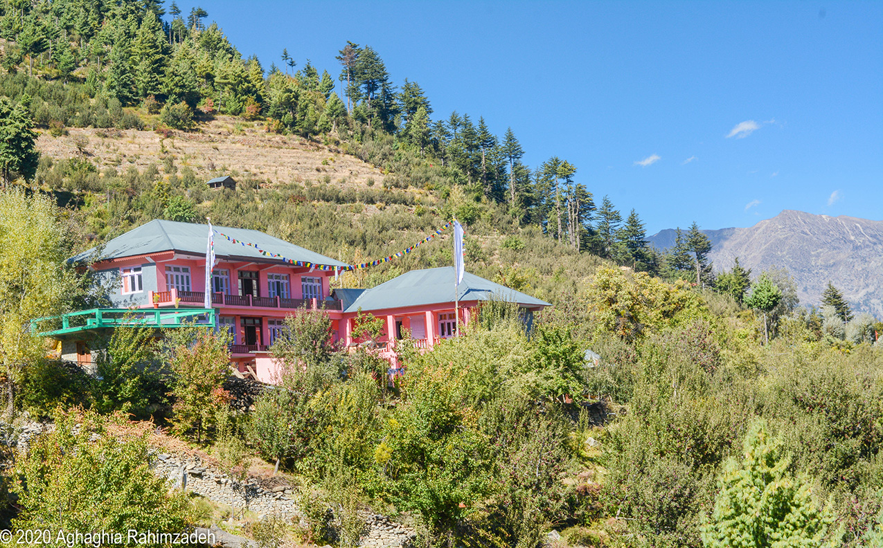 A bright pink house on a slope in the Himalayas, surrounded by apple orchards