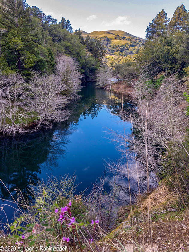 A small reservoir in California reflects the blue sky