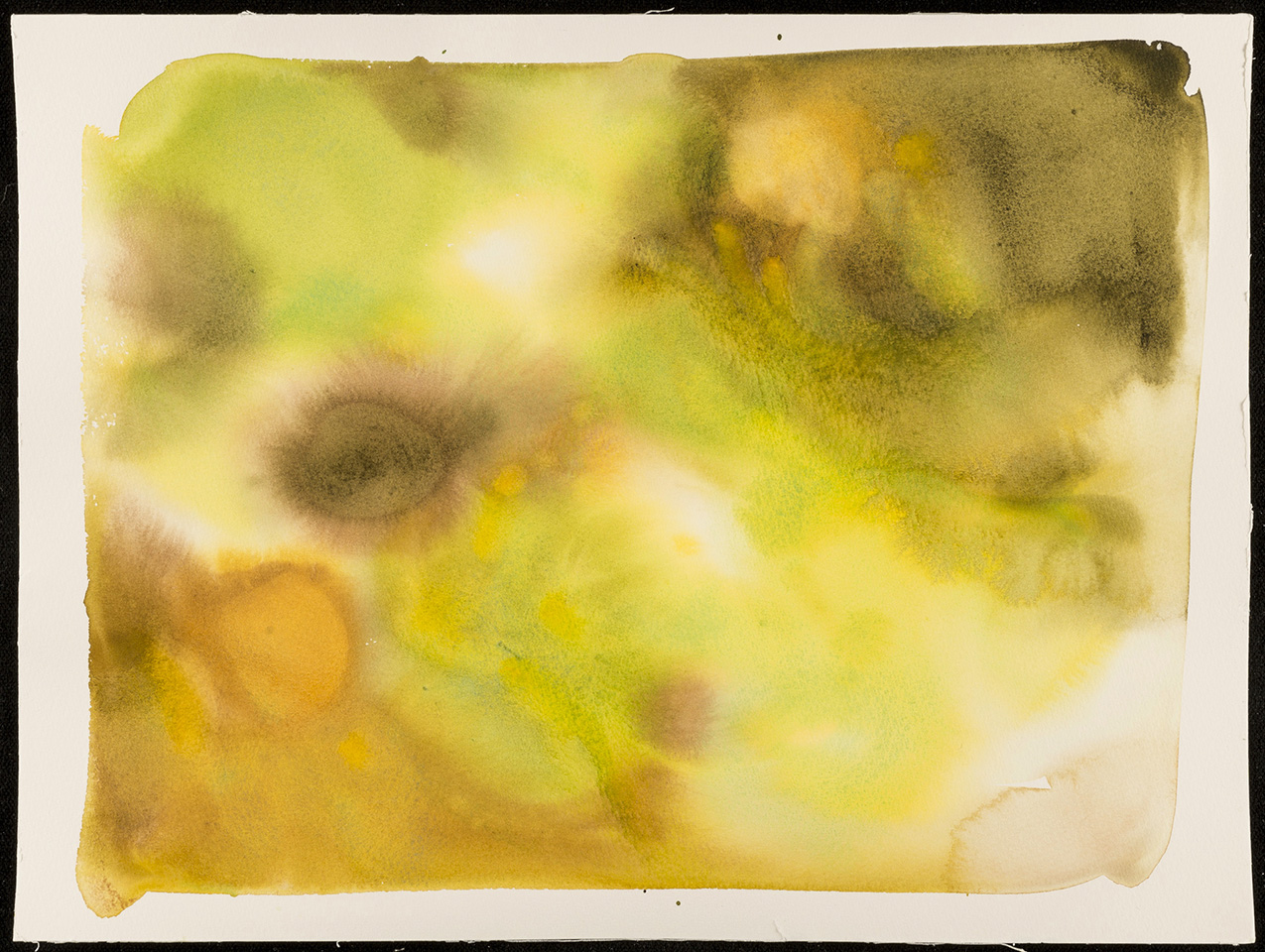 abstract brown, yellow and green watercolor