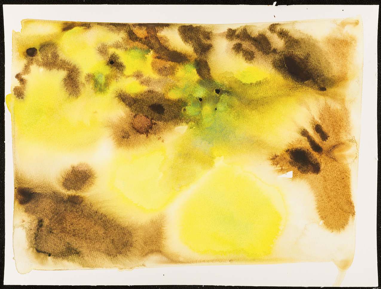 abstract brown, yellow and green watercolor