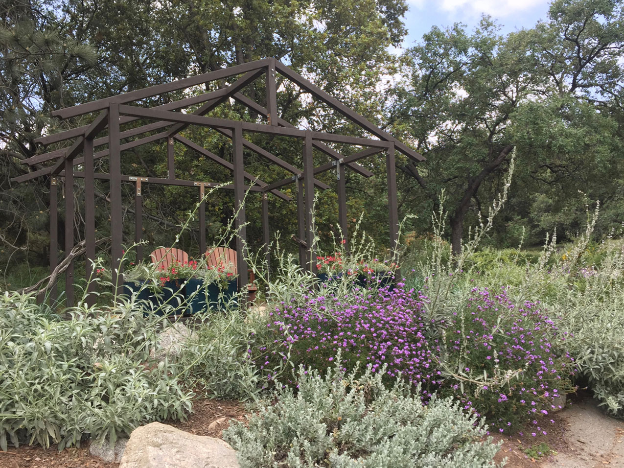 a pergola with two adirondack chairs surrounded by sagebrush and other plants in southern California