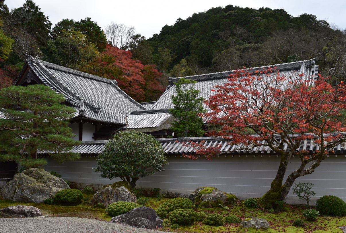 hōjō garden in Nanzen-ji with small ornamental trees in front of a garden wall and temple roofs in the background