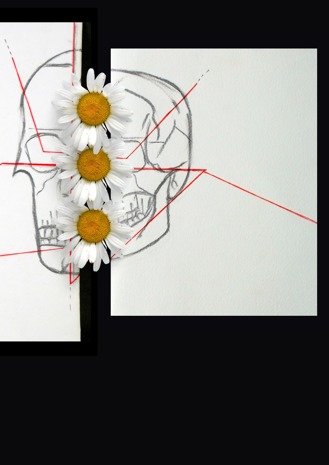 three daisies are flanked by a drawing of a skull overlaid with angular red lines