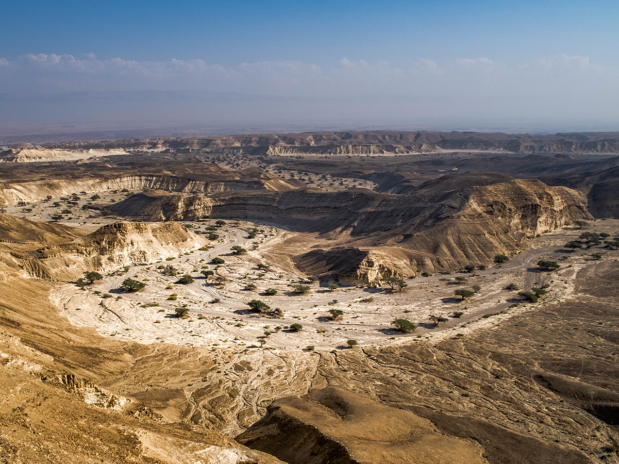 dry desert streambeds converge in the Negev desert, Israel