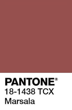 Pantone swatch: earthy red color with text PANTONE 18-1438 TCX Marsala