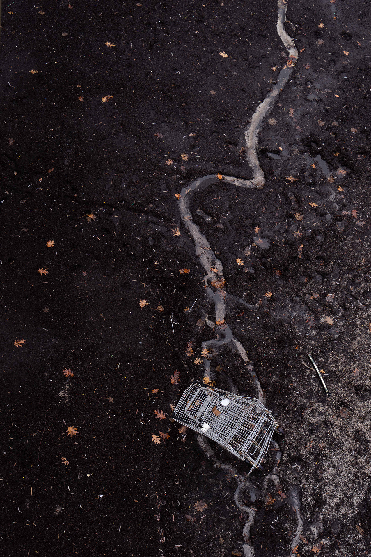 a photo looking down from above at a discarded shopping cart in an almost-black ravine bottom where fallen oak leaves dot the ground. a thin rivulet snakes through the image from the top to bottom.