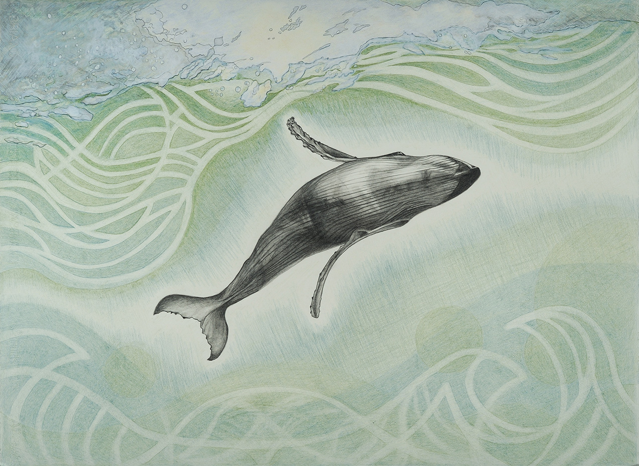 a delicate, realistic drawing of a grayscale whale swimming in abstracted blue-green water
