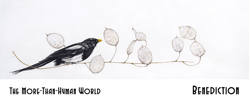The More-Than-Human World, Benediction section header: a delicate, realistic drawing of a grayscale magpie on a lunaria branch, isolated on a white background