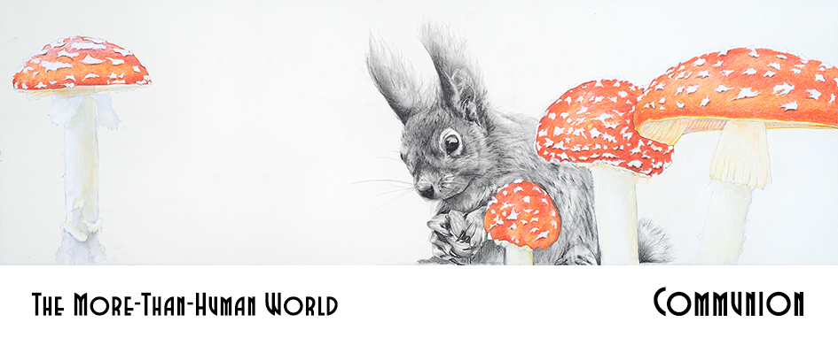 The More-Than-Human World, Communion section header: a delicate, realistic drawing of a grayscale squirrel and orange-red mushrooms, isolated on a white background