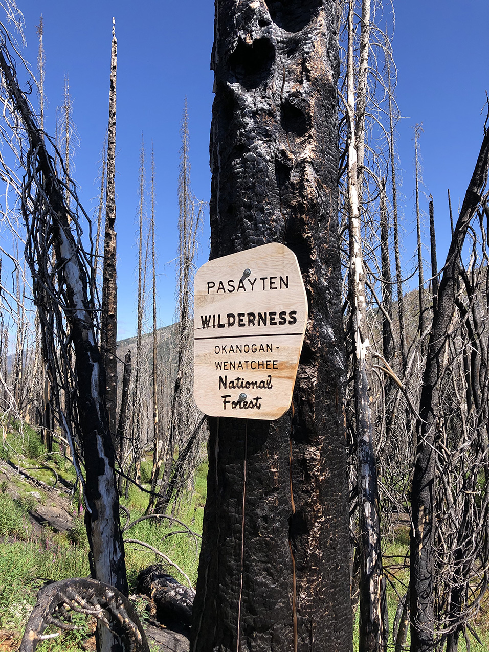 a sign on a burned tree trunk reads "Pasayten Wilderness / Okanogan-Wenatchee National Forest"