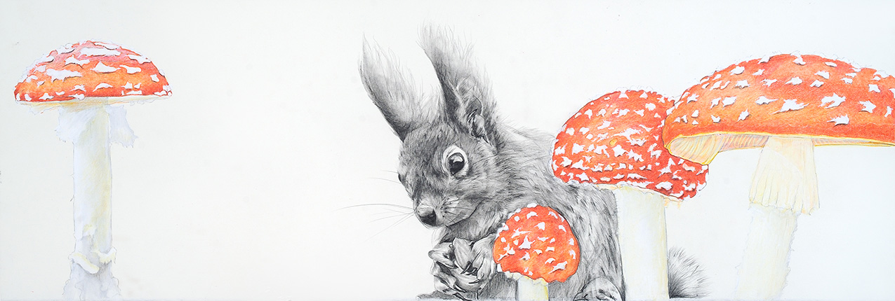 a delicate, realistic drawing of a grayscale squirrel and orange-red mushrooms, isolated on a white background