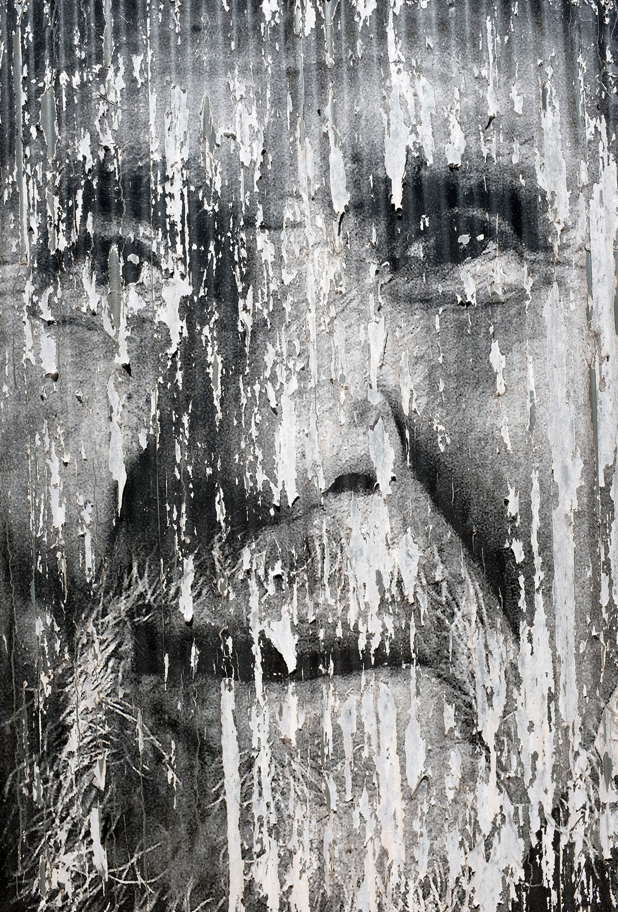 a black and white photo of an Indigenous American man, peeling in vertical lines