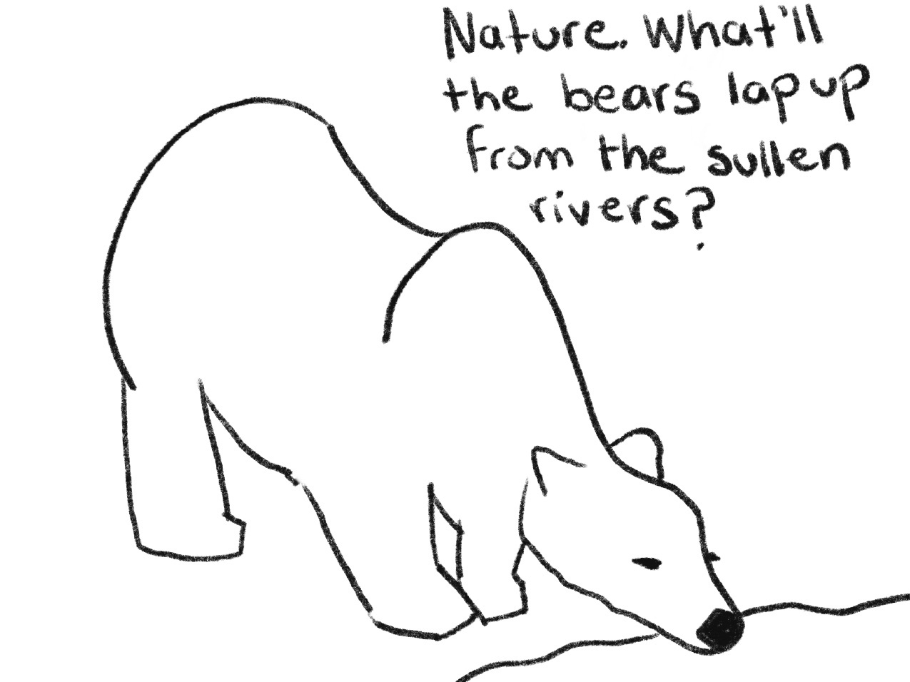 black and white drawing of polar bear drinking and hand-written text "Nature. What'll the bears lap up from the sullen rivers?"