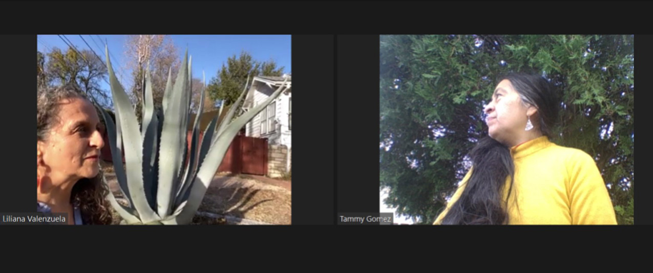 screengrab of a Zoom between Liliana Valenzuela (left, with enormous agave plant) and Tammy Gomez (right, beneath a canopy of leaves)