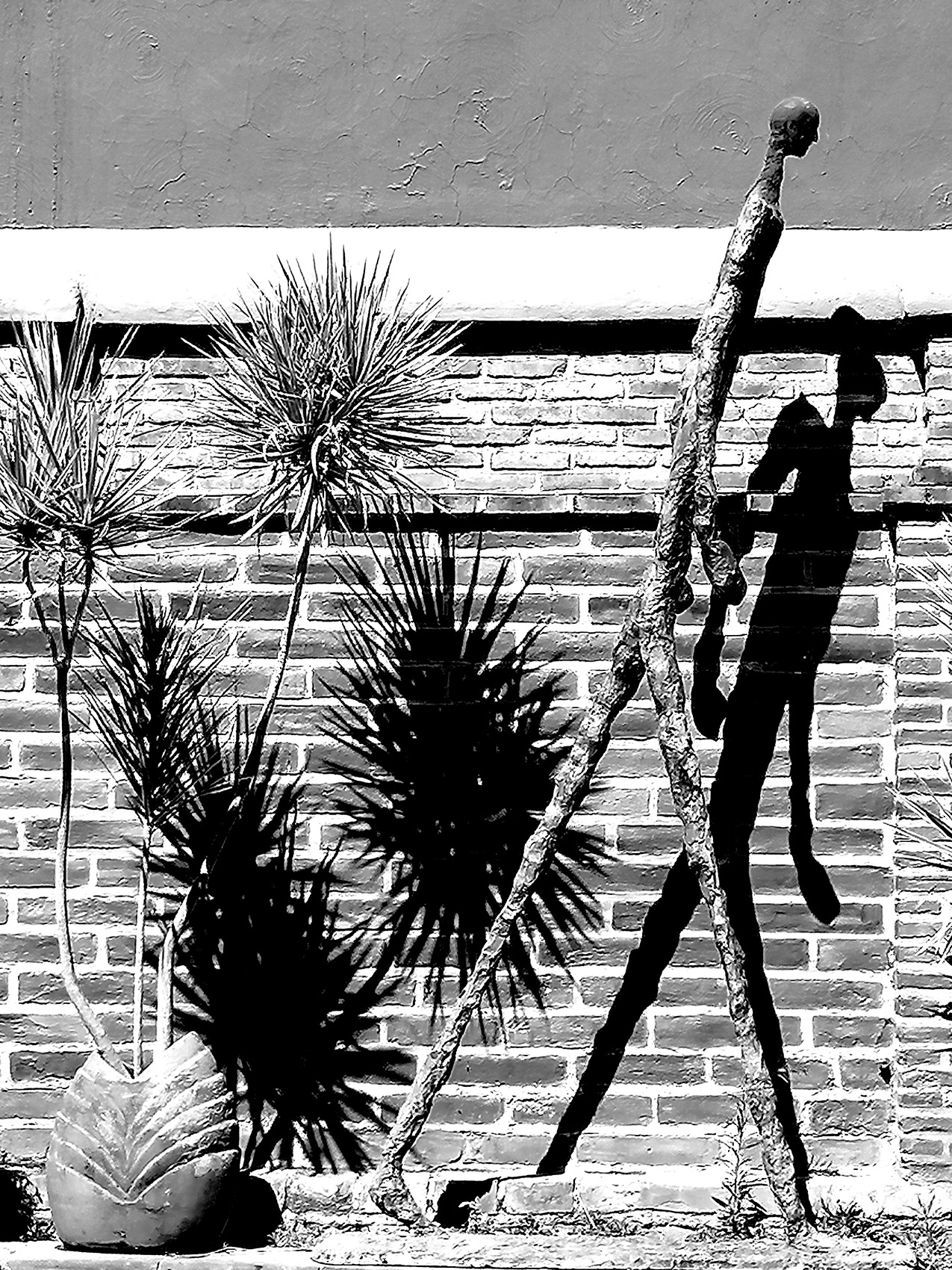 high-contrast black and white photo of a tall skinny statue of a human figure walking in front of a brick wall next to potted palms