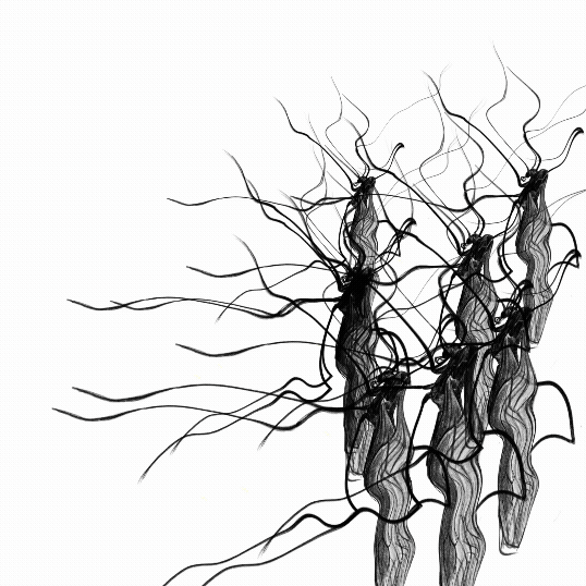 eight insect-like shapes with many legs, drawn in black ink, circle around in a looping animation on a white background