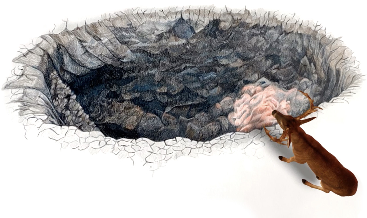 a dark, rocky hole in the earth, drawn in colored pencil, isolated on white paper. a realistic 3D deer (augmented reality figure) stands at the edge of the hole. there is an area of swirly pink in the hole near the deer.
