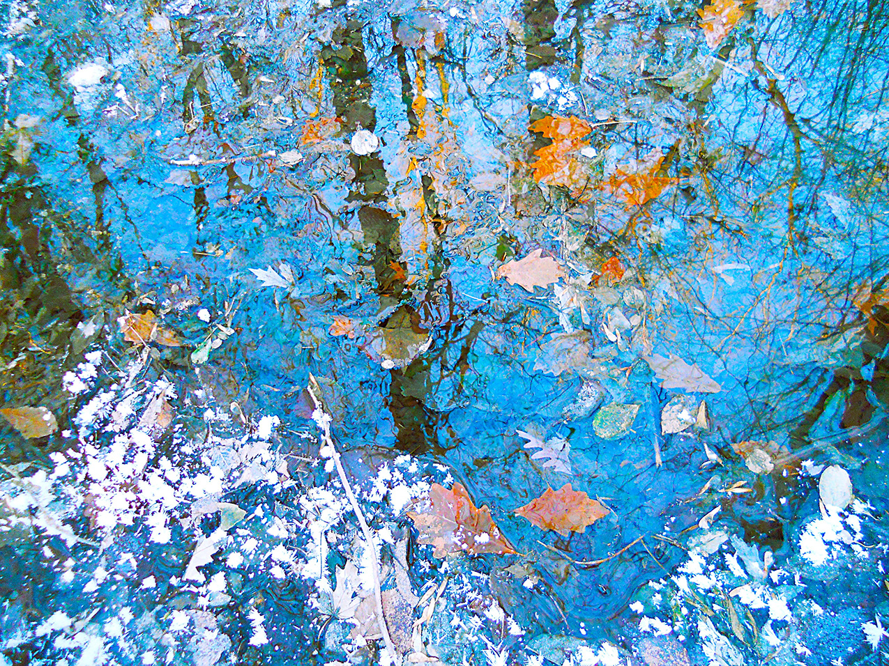 abstract photo of autumn leaves floating in water. the water is rippled and reflects an uncanny brilliant blue sky and tree trunks; near the bottom of the image, spiky white shapes that appear to be frost encroach on the blue