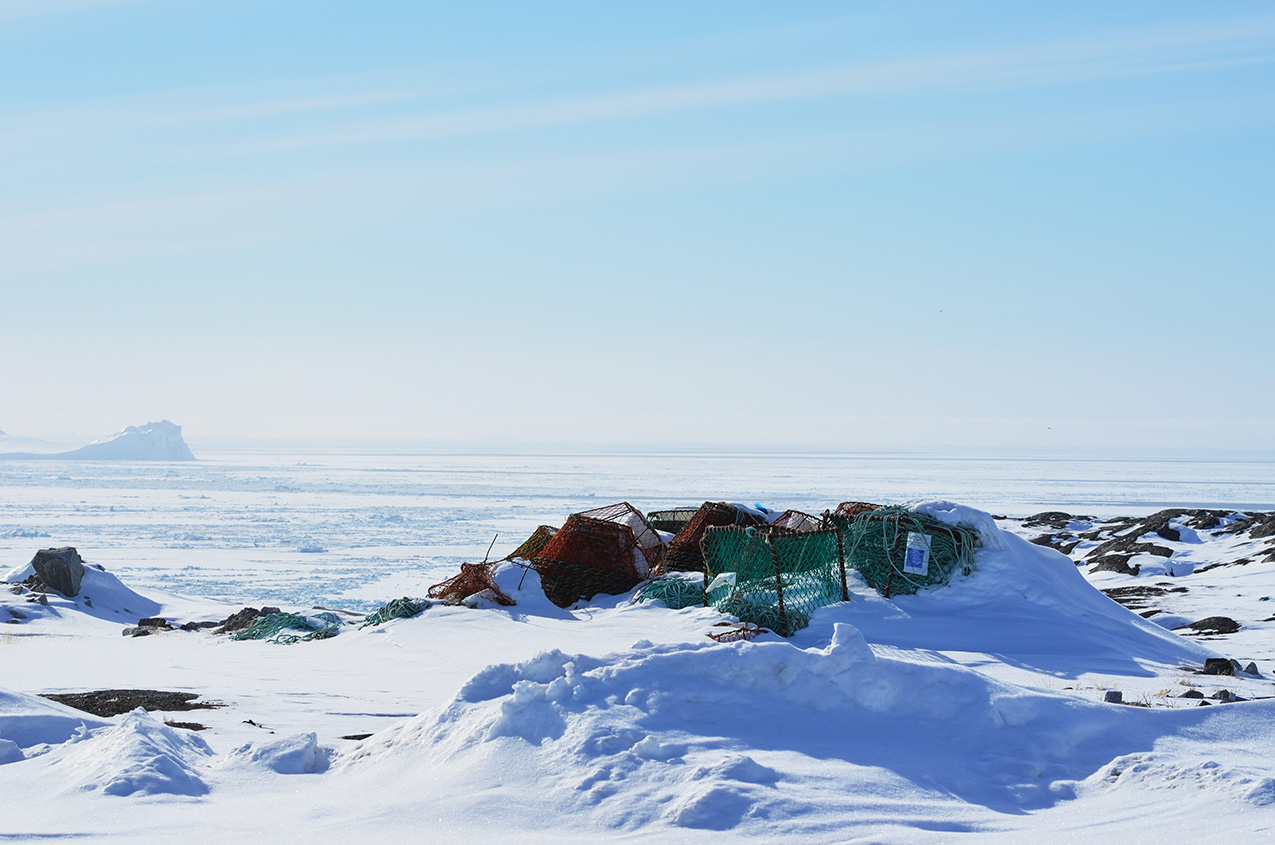 some webbed fence materials stick up out of the snow; the background is a flat expanse of white that could be a field or a frozen body of water.