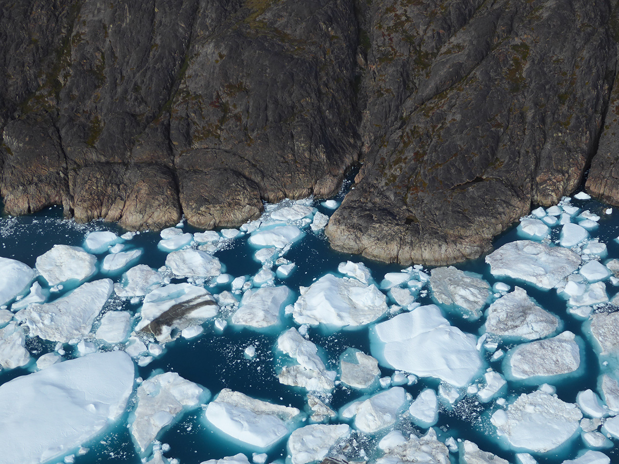 the top half is dark rock that resembles cooled lava that was flowing downward. the bottom half is deep blue water with numerous icebergs floating in it.