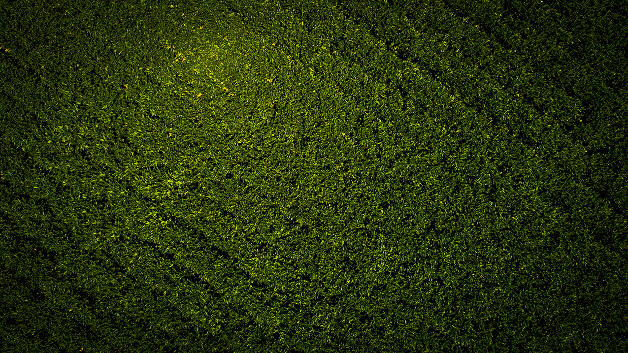 aerial photo of a homogeneous field of intensely green plants; darker edges and a lighter center create a vignette effect