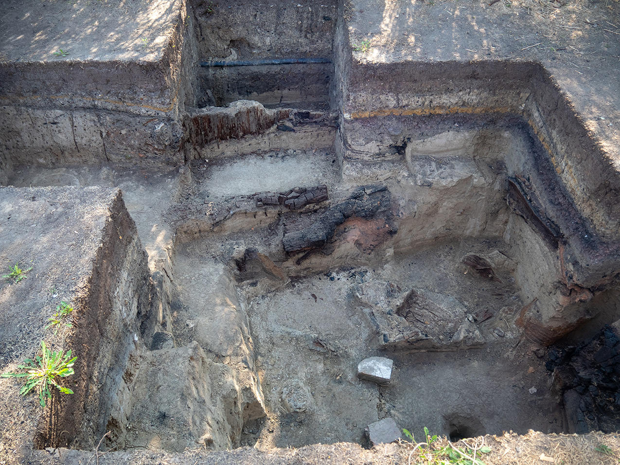 view from ground level looking down into a hole with straight sides. the layers revealed by the excavation include a dark layer of charcoal, and in one section a large charred area has been exposed.