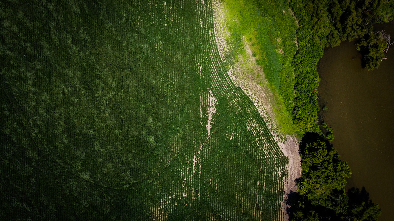 aerial photo of a lush green field; the right quarter of the image features the edge of the field, a strip of lush forest, and a dark brown body of water; the angle of the photo makes it hard to discern the direction of gravity, giving it an off-kilter feel